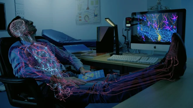 Telo: čudesa notranjih družbenih omrežij Foto Tv Slo
