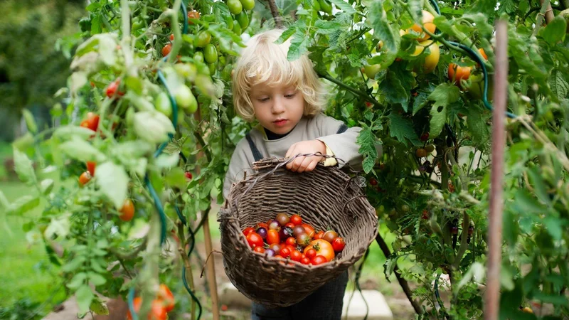 Fotografija: V prihodnjih suhih dneh bo idealen čas za sajenje, dobro izbrane sadike bodo hitro napredovale. FOTO: Halfpoint, Shutterstock