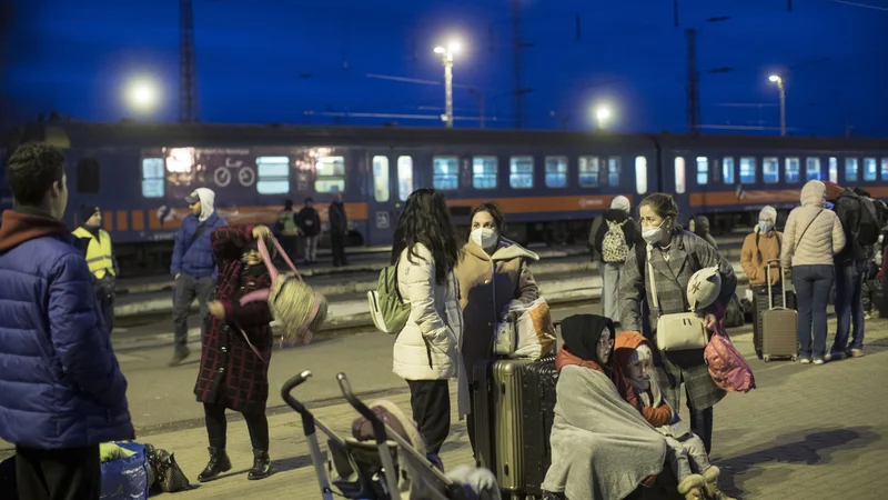 Fotografija: Doslej je delo v Sloveniji našlo le malo beguncev iz Ukrajine. Foto Jure Eržen