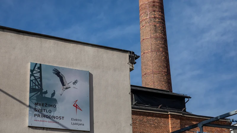 Elektro Ljubljana je spet lastnik četrtine Gen-EL. FOTO: Črt Piksi/Delo

