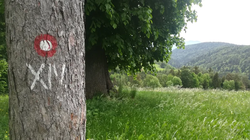 Fotografija: Označba, po kateri prepoznamo pot spomina na težek pohod XIV. divizije. FOTO: Simona Bandur
