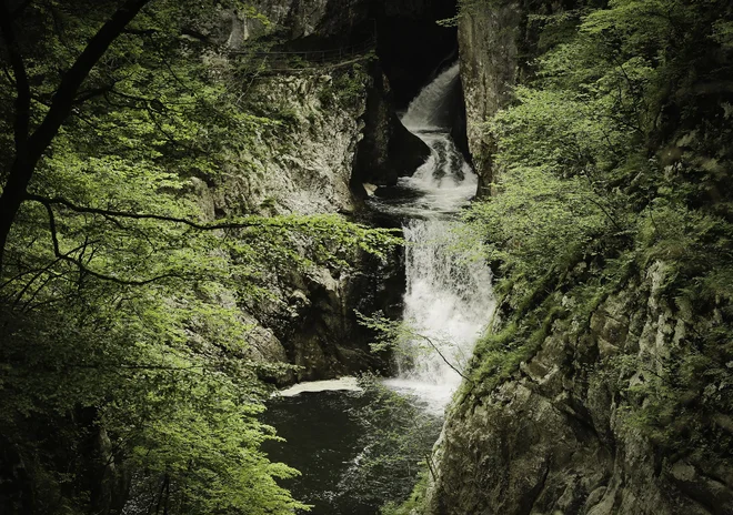 Park Škocjanske jame lahko sprejme le omejeno število dnevnih gostov, zato so potrebne predhodne rezervacije za obisk. FOTO: Jože Suhadolnik/Delo
