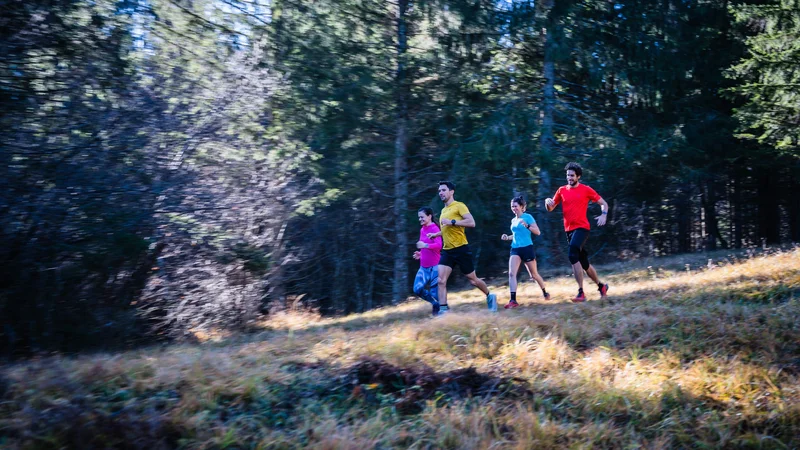 Fotografija: Na Kočevskem kraljujejo neokrnjeni gozdovi in zelena narava, ki postaja tudi vedno bolj prepoznana destinacija za aktivna in adrenalinska doživetja. FOTO: Luka Fabčič