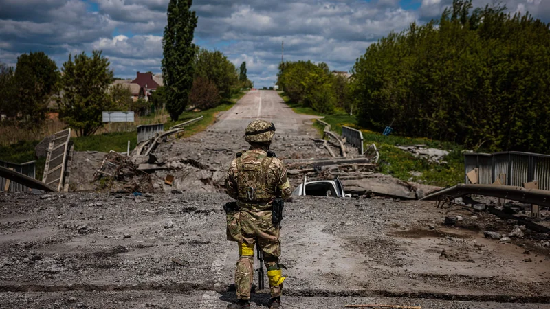 Fotografija: Za majhno državo, kot je Slovenija, je obsodba vsake agresije nujna, saj brez spoštovanja mednarodnega prava preostane zgolj jezik sile. FOTO: Dimitar Dilkoff/AFP