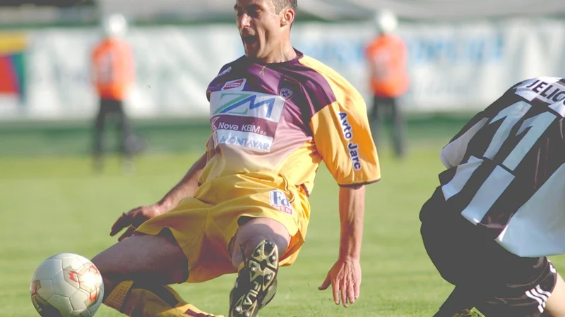 Fotografija: Tudi nekdanji kapetan slovenske reprezentance Aleš Čeh ni mogel popeljati vijioličnih do šampionske zmage v Fazaneriji. FOTO: Tadej Regent