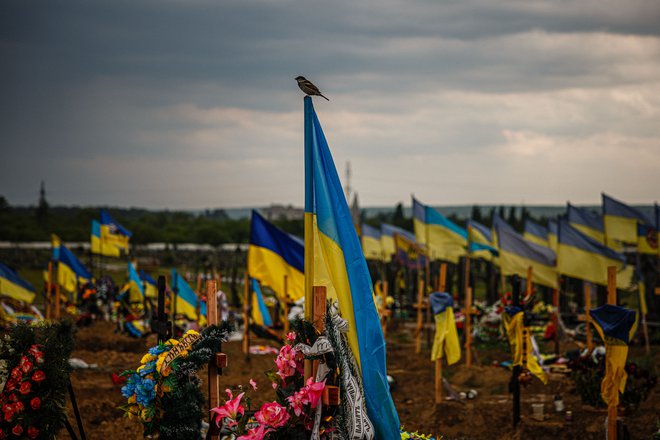 Pokopališče v Harkovu. FOTO: Dimitar Dilkoff/AFP
