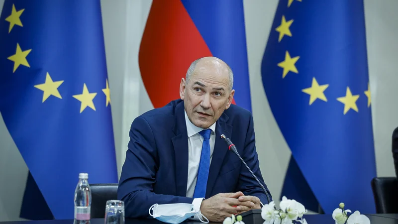 Fotografija: Vlada Janeza Janše je sprejela sklep, s katerim bo omogočeno ukrepanje proti opičjim kozam. FOTO: Jože Suhadolnik/Delo