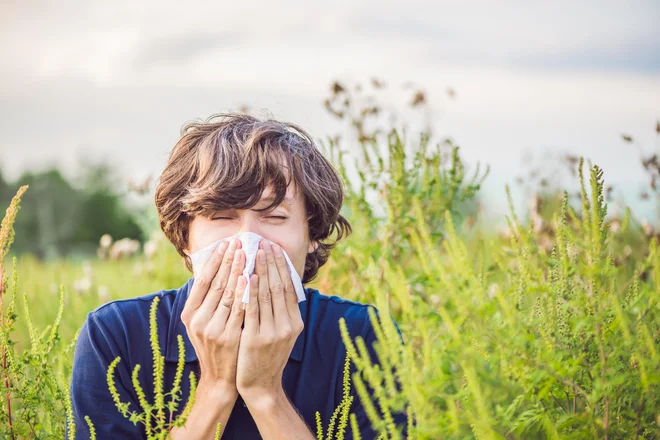 FOTO: Shutterstock
