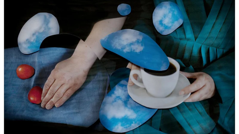 Fotografija: Galerija Fotografija na Ljubljana Art Weekendu sodeluje tudi z novo razstavo Vanje Bućan Rajske ptice, ki jo bodo odprli jutri. FOTO: Vanja Bućan, Conversation About Cosmic Energy 1, 2022
