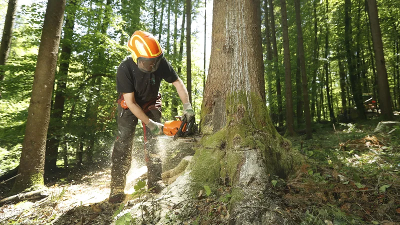 Fotografija: Fotografija je simbolična. FOTO: Leon Vidic/Delo
