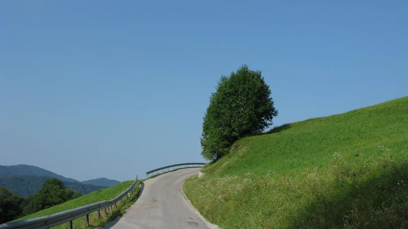 Fotografija: Na poti proti Čemšeniku FOTO: Polona Malovrh