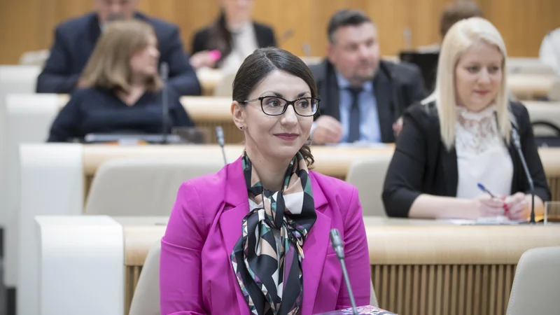 Fotografija: Emilija Stojmenova Duh, kandidatka za ministrico za digitalno preobrazbo, med zaslišanjem na za notranje zadeve, javno upravo in lokalno samoupravo povedala. FOTO: Jure Eržen/Delo