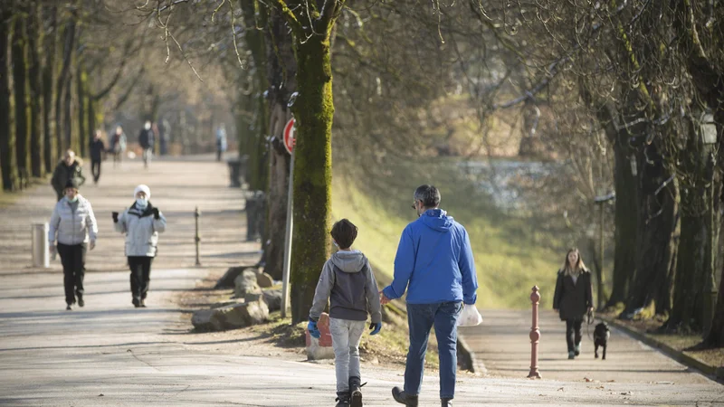Fotografija: Spremembe na področju dodatnega pokojninskega zavarovanja so nujne. Zakonsko bi lahko definirali tretji pokojninski steber in vzpostavili individualni pokojninski račun, znotraj katerega bi vsak varčeval in investiral brez davčnih bremen in naložbenih omejitev. FOTO: Jure Eržen/Delo