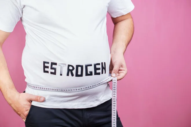 Hormoni so prenašalci informacij med organi oziroma med tkivi v organizmu.FOTO: Arhiv Polet/Shutterstock

