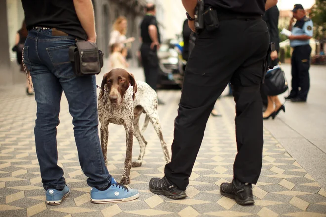 Policisti s psom. Fotografija je simbolna. FOTO: Jure Eržen/Delo
