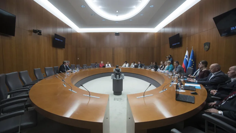 V državni zbor prihaja vsaj šest novincev. FOTO: Jure Eržen/Delo
