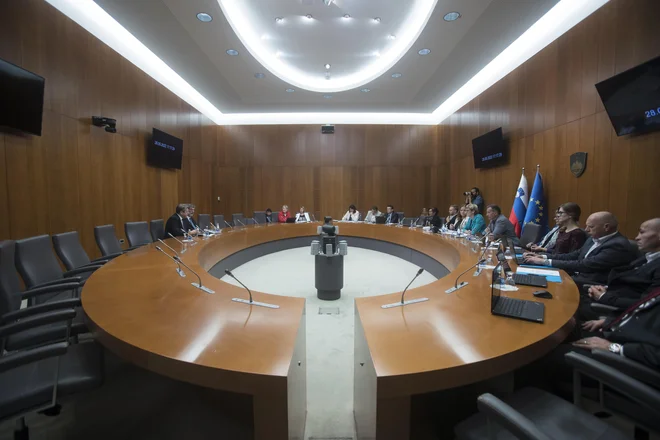 V državni zbor prihaja vsaj šest novincev. FOTO: Jure Eržen/Delo