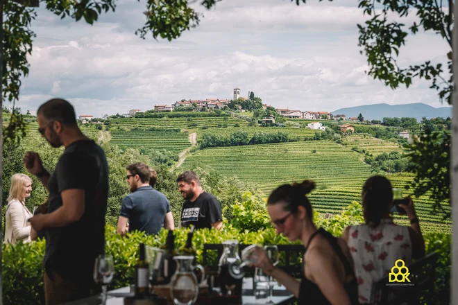 Izkupiček dražbe bodo razglasili na Dnevih odprtih kleti. FOTO: Kontrabant Adwineture
