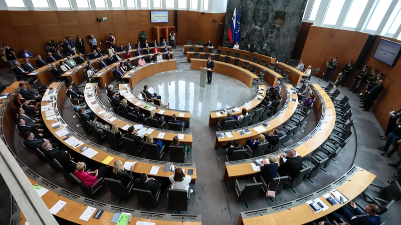 Fotografija: Poslanec SDS Jože Tanko je sprožil vprašanje zastopništva izseljencev in zamejcev v Državnem zboru RS. Foto Črt Piksi
