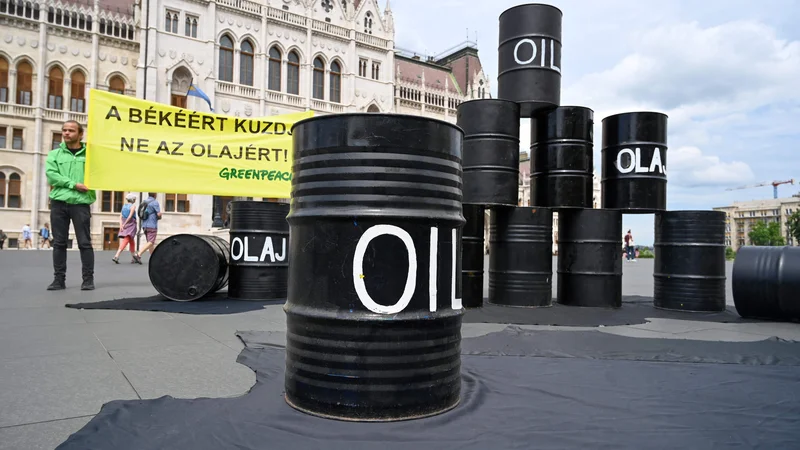 Fotografija: Protesti Greenpeaca pred parlamentarno palačo v Budimpešti. FOTO: Attila Kisbenedek/AFP