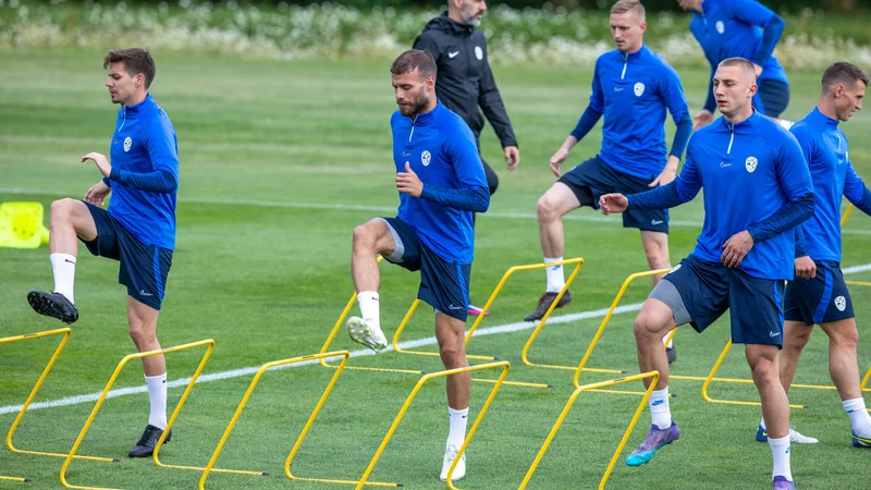 Fotografija: Ponedeljkov trening A-reprezentance na Brdu pri Kranju. FOTO: Voranc Vogel/Delo