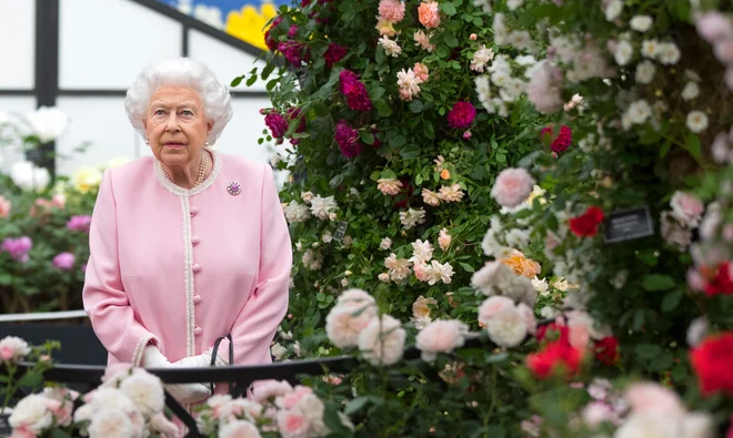 FOTO: Richard Pohle/AFP
