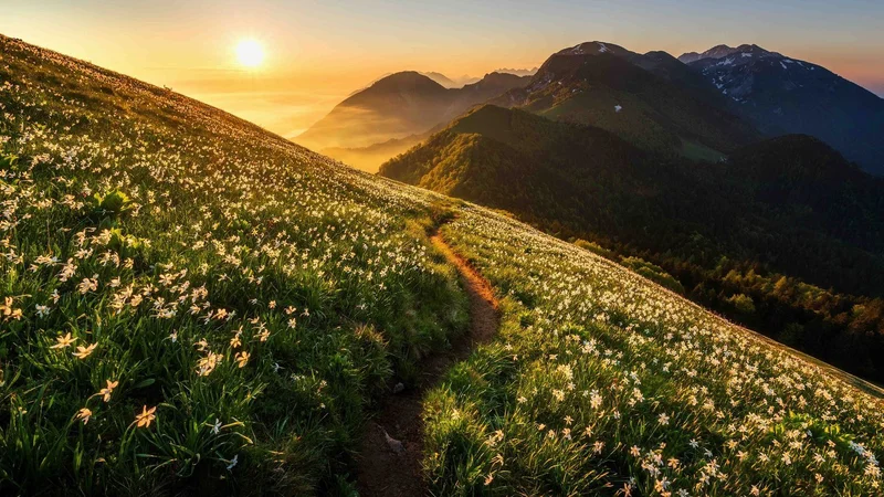 Fotografija: Naslovna fotografija Vodnika po Transverzali. FOTO: Aleš Krivec