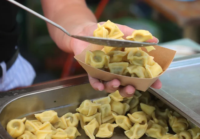 V knjigi so zbrani tudi nasveti, kje jesti, kje prespati in kaj si ogledati. Foto: Dejan Javornik/Slovenske novice
