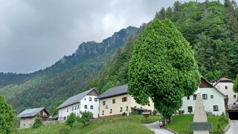 Fotografija: Prtovč. In pika. FOTO: Grega Kališnik
