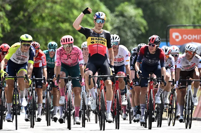 Wout Van Aert proslavlja v cilju 192 km dolge etape med mestoma&nbsp;La Voulte-sur-Rhone in Beauchastel. FOTO: Marco Bertorello/AFP
