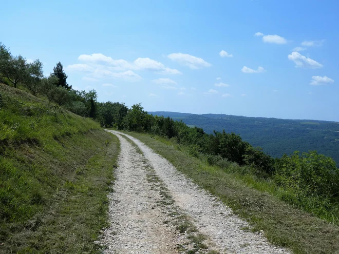 Taka podlaga je od Sečovelj do Poreča. FOTO: Miroslav Cvjetičanin 
