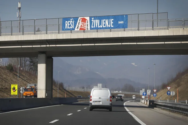 Stala je na drugi strani ograje. FOTO: Leon Vidic/Delo