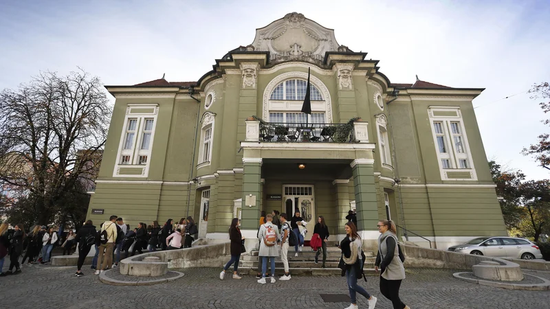 Fotografija: Uršula Cetinski je na seji izpostavila tudi problematiko kulturne infrastrukture tako v smislu vzdrževanja in obnove kot tudi same realizacije projektov. Foto Leon Vidic