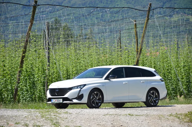 Peugeot 308 je lahko tudi eleganten karavan zmernih mer. FOTO: Gašper Boncelj

