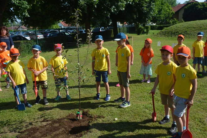 Slovenski strokovnjaki so v letu 2014 izdali Slovenske smernice za telesno dejavnost otrok in mladostnikov. FOTO: Arhiv Polet/Delo/Oste Bakal
