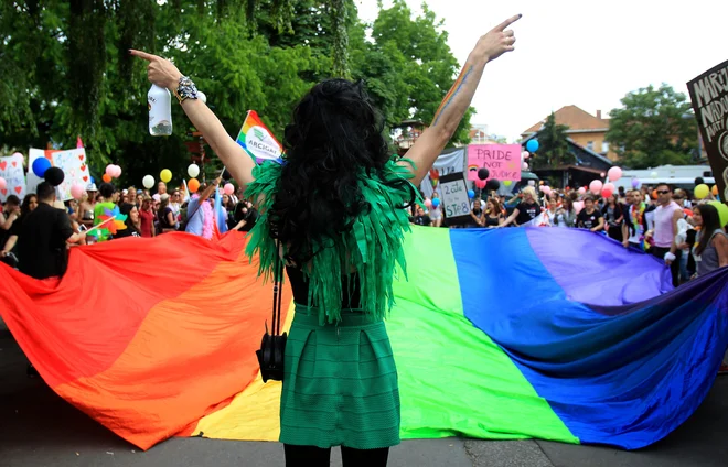 Parada ponosa na ljubljanskih ulicah pred leti. FOTO: Blaž Samec/Delo
