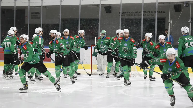 Fotografija: Hokejisti SŽ Olimpije in državni prvaki bodo edini slovenski klub v regionalnem tekmovanju ICEHL, v katerem bo tekmovalo kar 14 klubov. FOTO: Leon Vidic/Delo