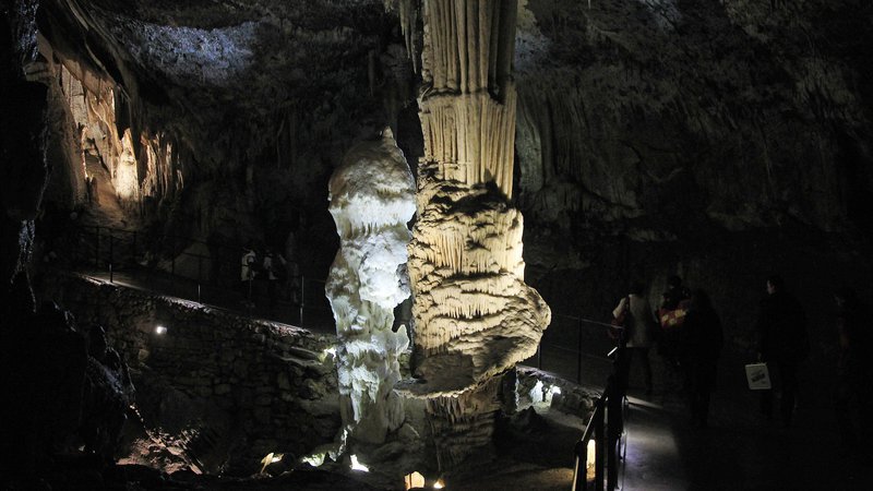 Fotografija: V dunajskem muzeju hranijo skupino nekaj metrov visokih kapnikov iz Postojnske jame, ki so jih na Dunaj prinesli pred 150 let. Lomljenje kapnikov ali drugačno poškodovanje jam je seveda zdaj prepovedano. FOTO: Leon Vidic
