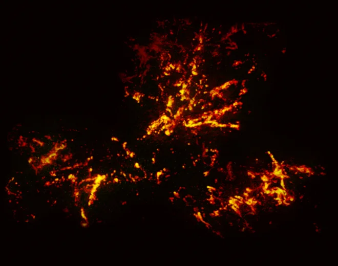 Posnetek meglice z radijskim teleskopom Alma. FOTO: ESO, ALMA (ESO/NAOJ/NRAO)/Wong
