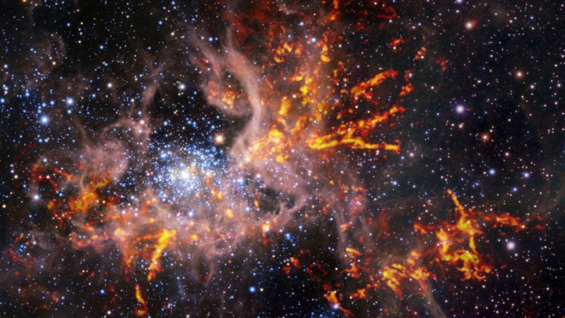 Fotografija: Sestavljena fotografija meglice Tarantela prikazuje zvezde in oblake prahu (rožnato), ki so jih posneli v infrardeči svetlobi z Zelo velikim teleskopom (VLT) in teleskopom za vidna in infrardeča opazovanja (VISTA) Evropskega južnega observatorija (ESO). Posnetku so dodane svetle oranžne proge, ki prikazujejo hladnejši in gostejši plin, podatke so pridobili z radijskim teleskopom Alma. FOTO: ESO, ALMA (ESO/NAOJ/NRAO)/Wong
