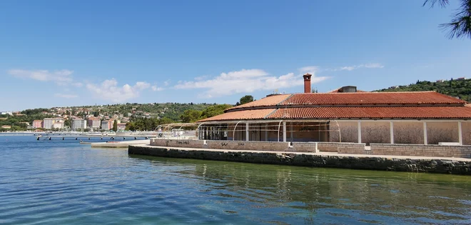 Taverna, nekoč kultno zbirališče mladih, propada. Foto Boris Šuligoj
