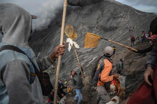 Na vulkanskem otoku Java skuša član indonezijske etnične skupine Tengger ujeti živo kokoš, ki so jo drugi verniki kot daritev vrgli v krater aktivnega vulkana Bromo v okviru festivala Yadnya Kasada. Foto: Juni Kriswanto/Afp
