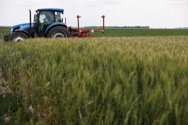 Na fotografiji polje pšenice na obrobju Baštanke v regiji Mikolajev. FOTO: Edgar Su/Reuters
