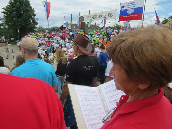 Po dveletnem premoru bodo spet ubrano prepevali slovenske pesmi. FOTO:  Bojan Rajšek/Delo
