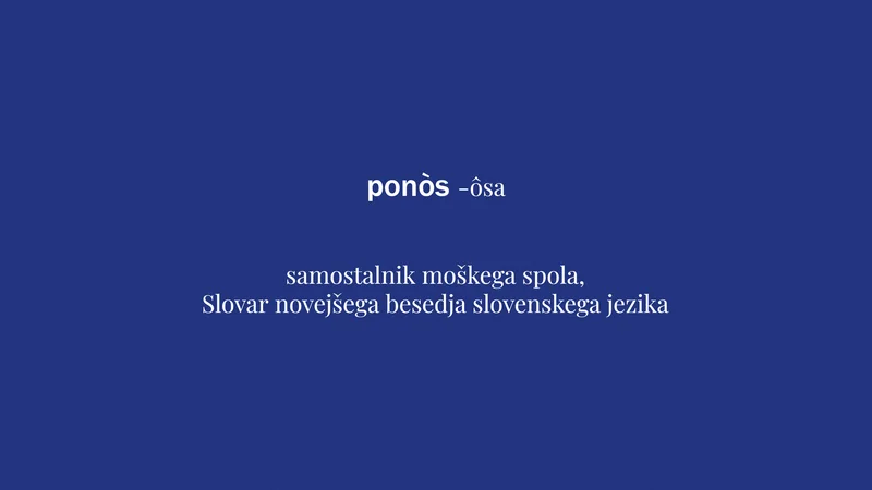 Fotografija: beseda tedna je ponos Foto Delo