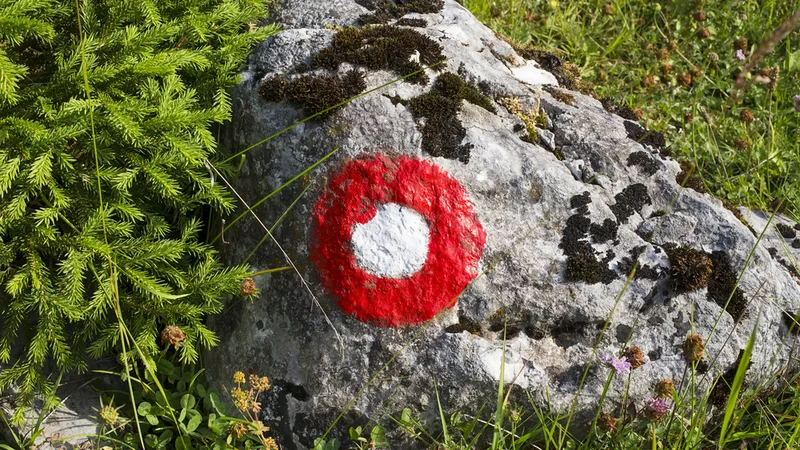 Fotografija: Fotografija je simbolična. FOTO: Shutterstock