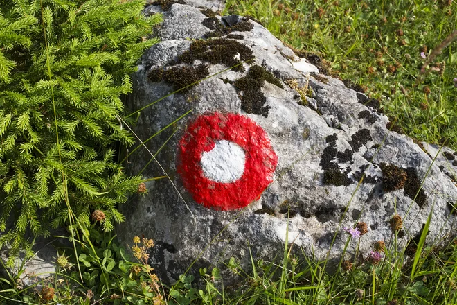 Fotografija je simbolična. FOTO: Shutterstock