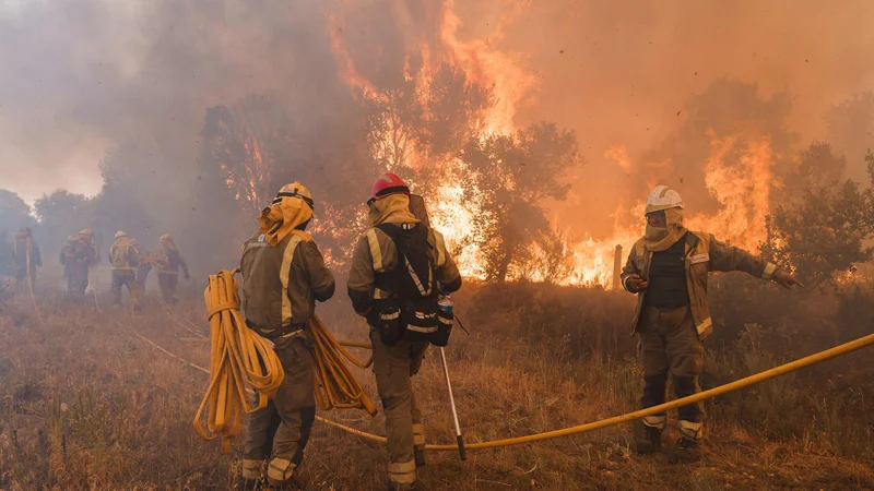 Fotografija: V Španiji divjajo gozdni požari. FOTO: Cesar Manso/AFP