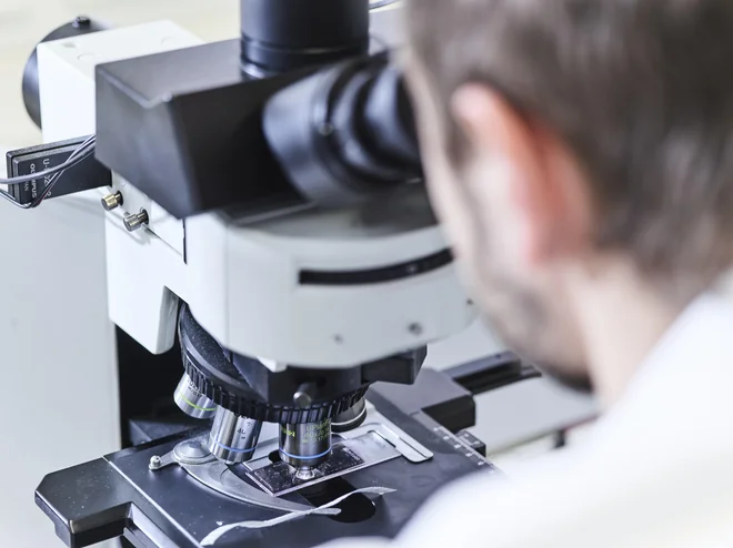 Čigava ideja je bila preselitev sedeža Nacionalnega laboratorija za zdravje, okolje in hrano iz Maribora v Ljubljano, ni znano. Foto NLZOH
