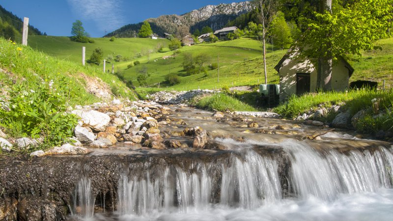Fotografija: V bližini Črjanskega raja je izjemno lepa gorska dolina Topla pod Peco. FOTO: Tomo Jeseničnik
